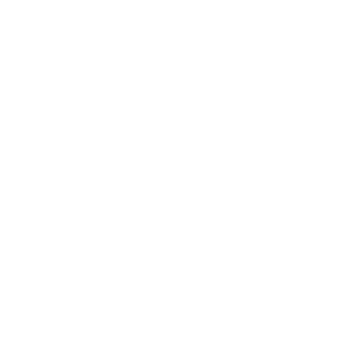 fun-icon